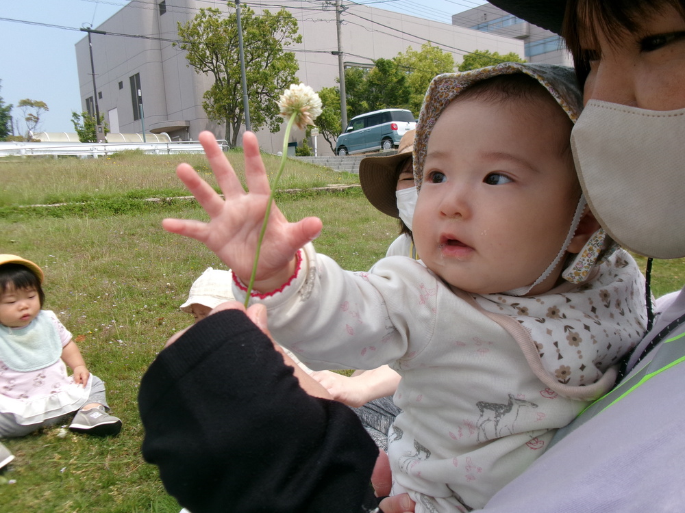 草花を取ろうとしている