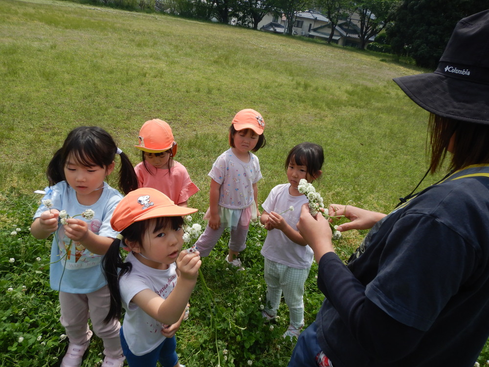 シロツメクサで花冠を作っている子どもたち