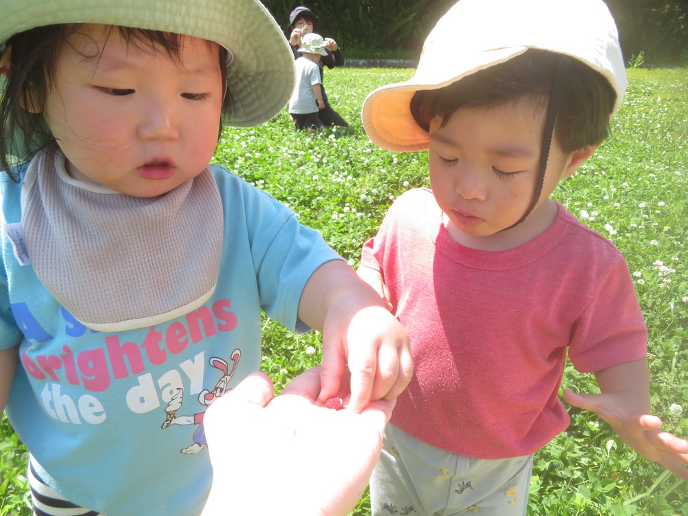 ヤギを見に行った様子 (5)