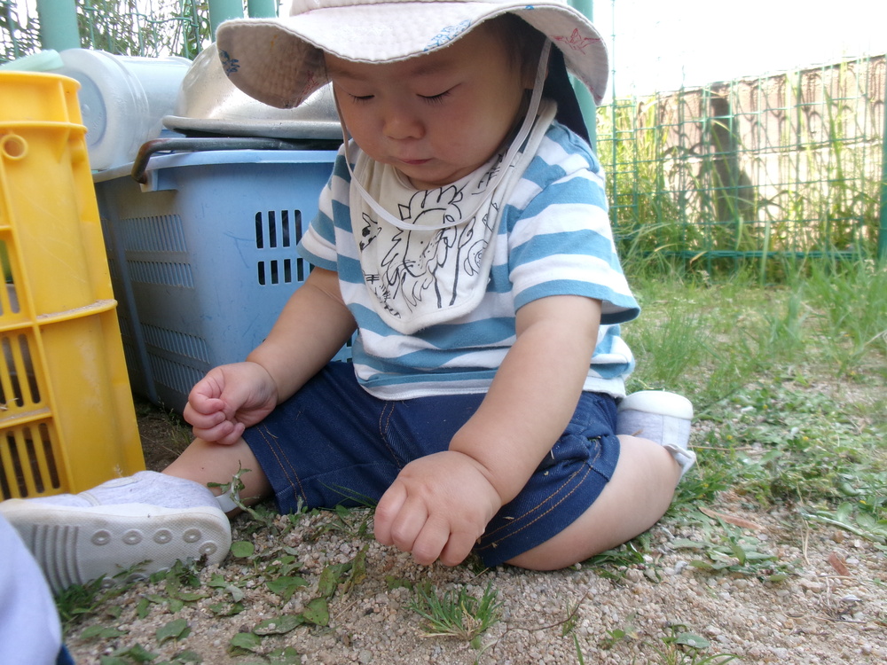 園庭で遊んでいる様子 (3)
