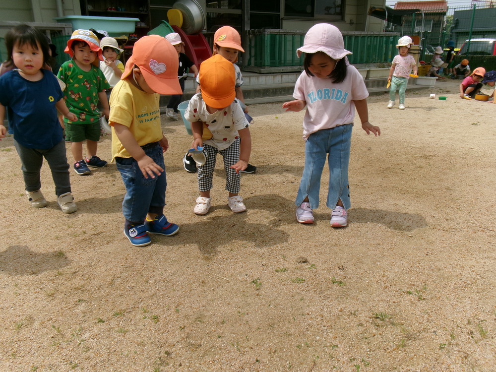園庭遊びの様子