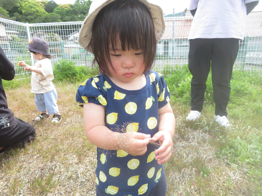 園庭あそびの様子 (6)