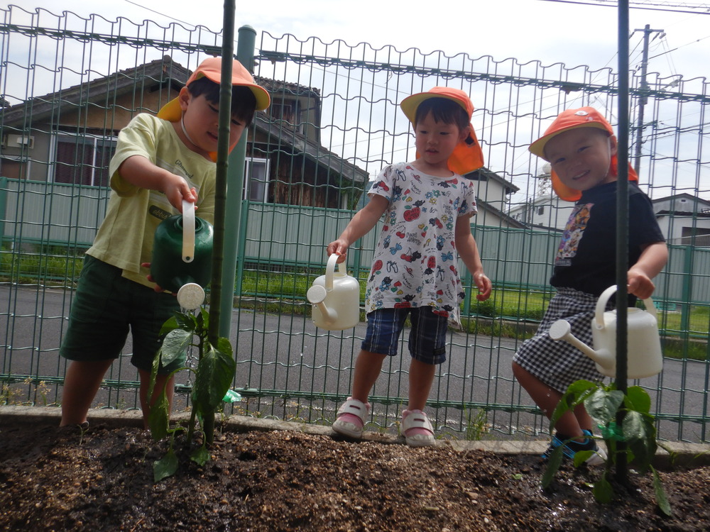 野菜の水やりをする子ども (1)