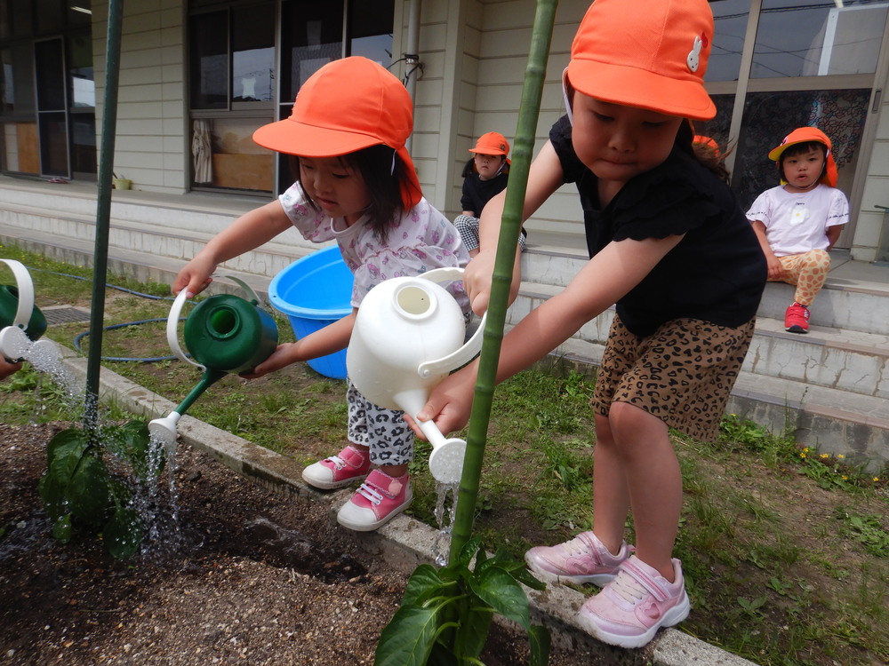 野菜の水やりをする子ども (3)