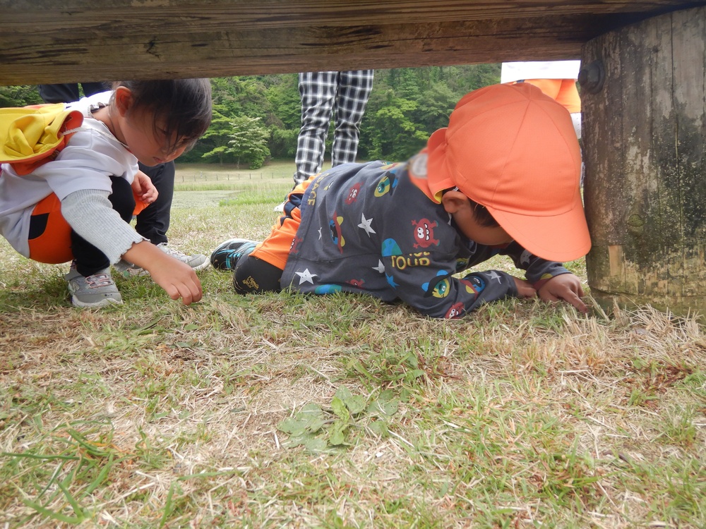 ぼかし