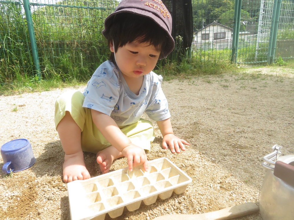 園庭遊びの様子 (1)