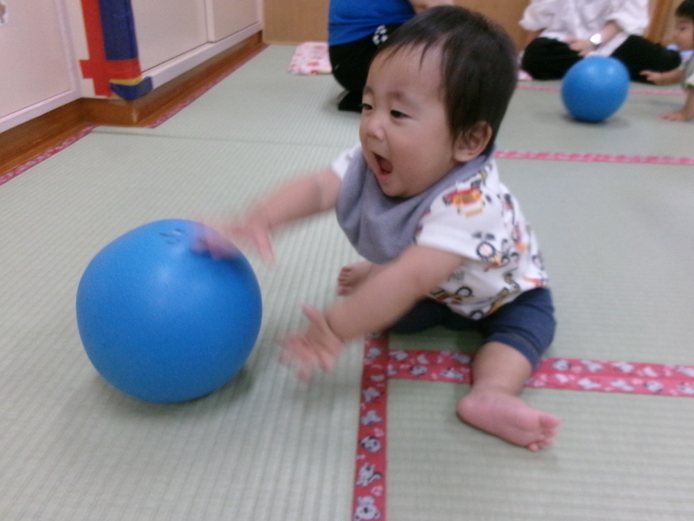 ボールで遊ぶ様子