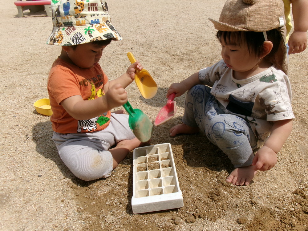 ごちそう作り