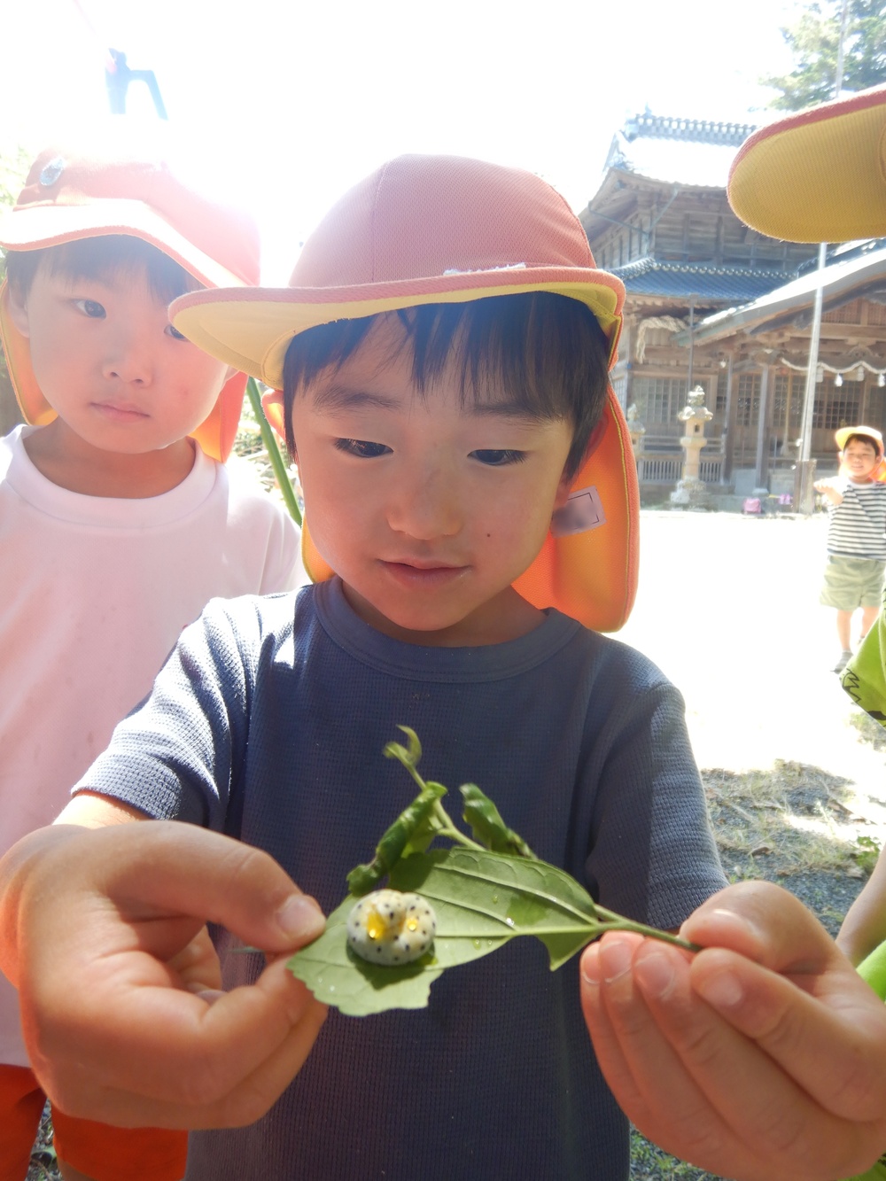 虫の幼虫を見つけた子ども