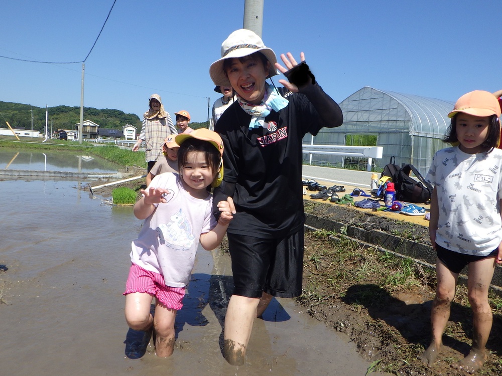 田植えの様子 (5)