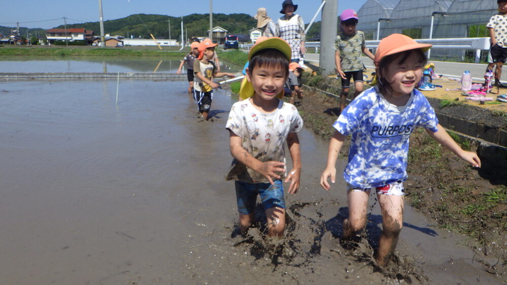 田植えの様子 (7)