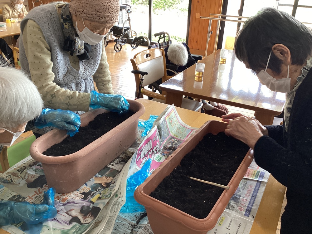 種植え