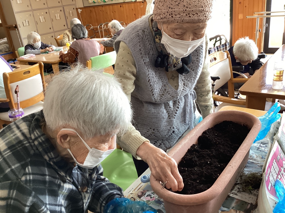 種植え