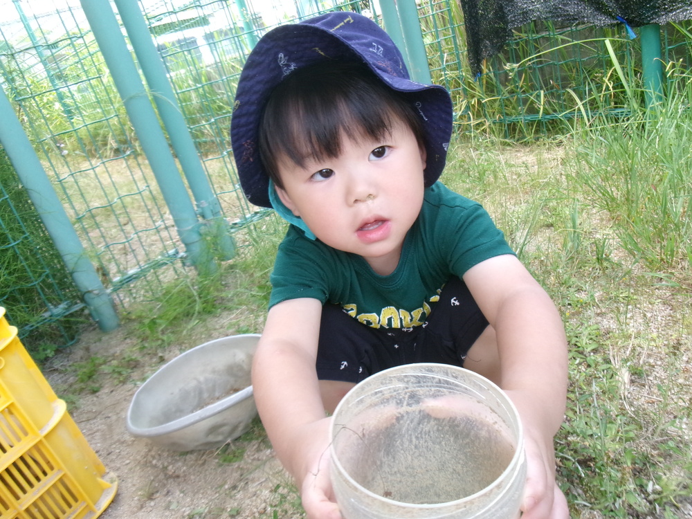 園庭遊びの様子