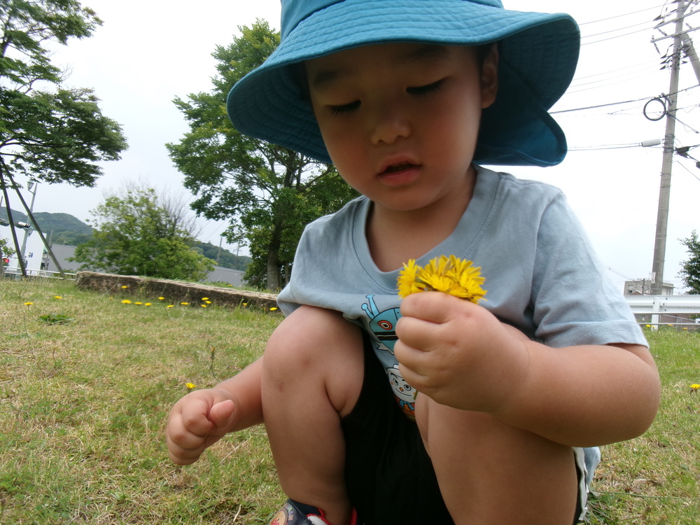 お花を摘む