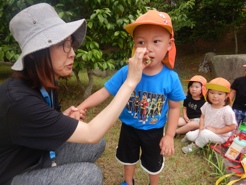 宮崎公園で遊ぶ子ども (2)