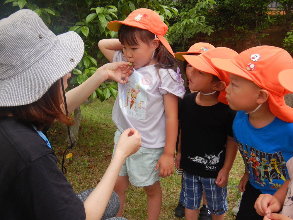 宮崎公園で遊ぶ子ども (3)