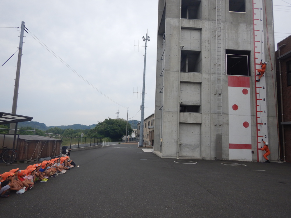 散歩の様子２