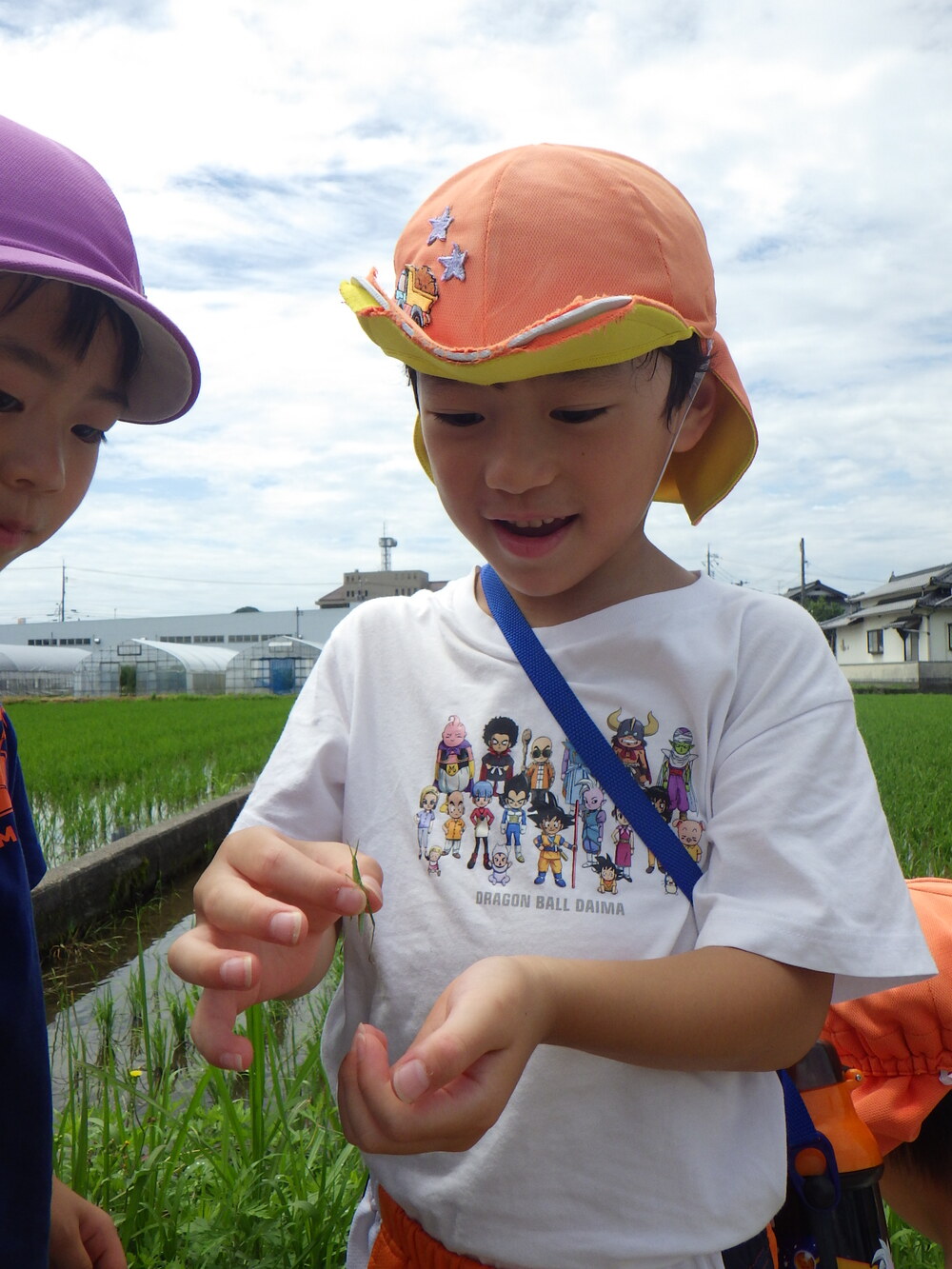 バッタを捕まえた子ども