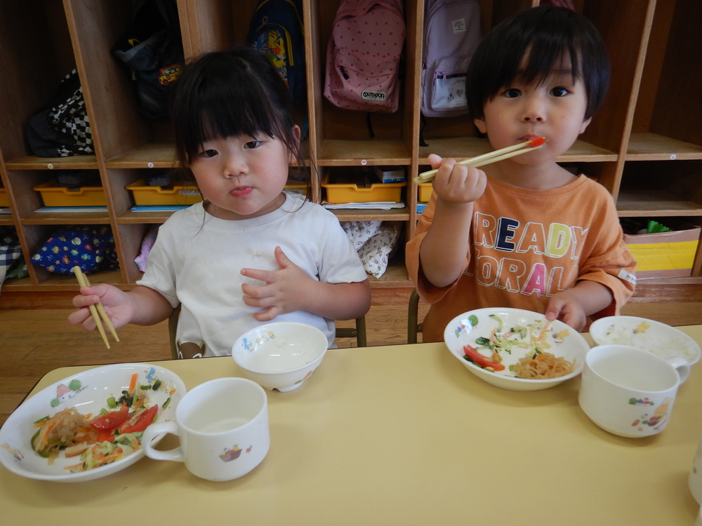 トマトの収穫 (1)