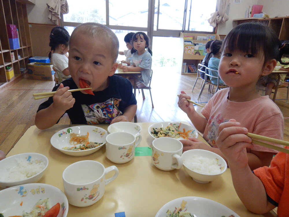 トマトの収穫 (6)