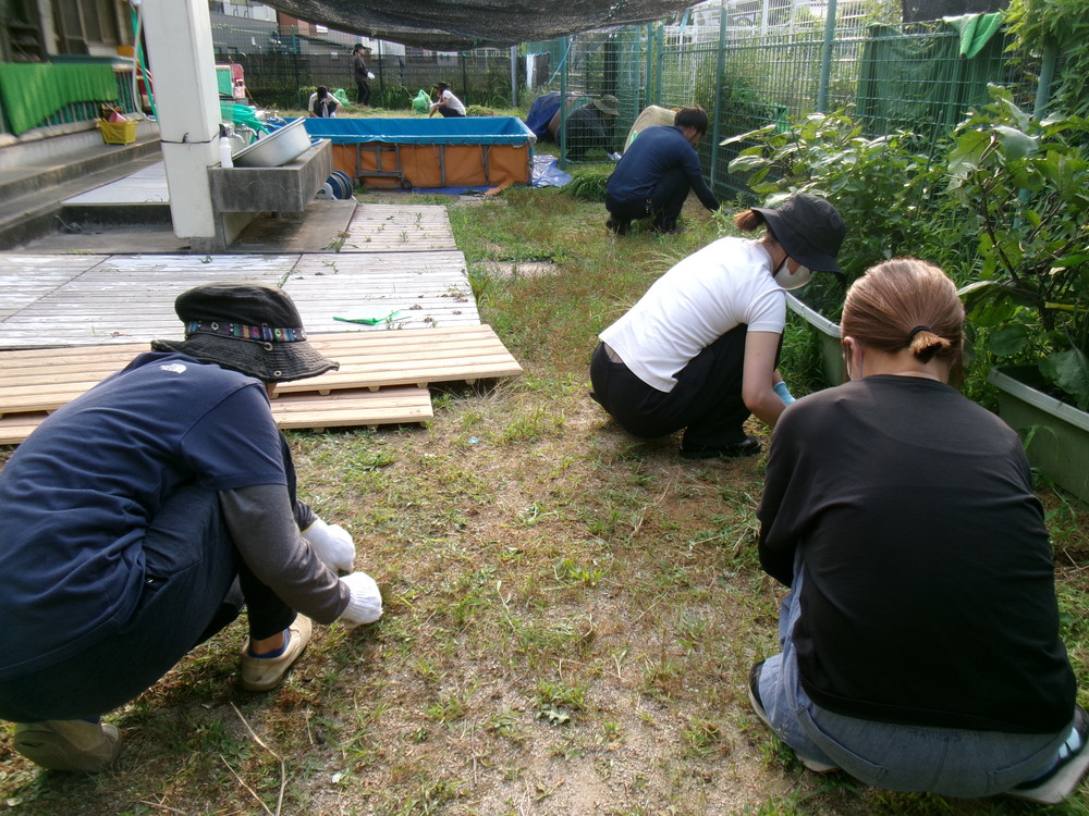 夏まつり前草刈り (4)