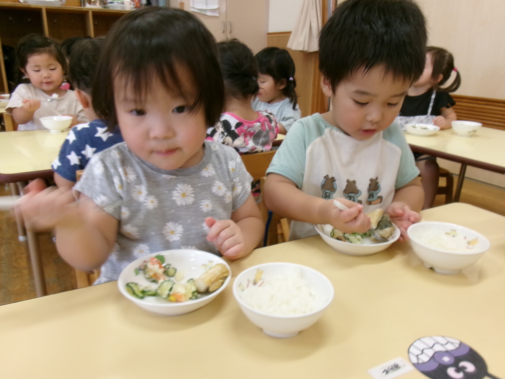 給食