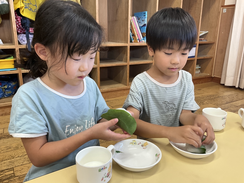 かしわもち3