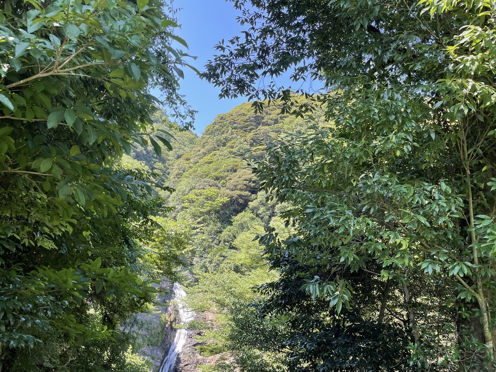 活動