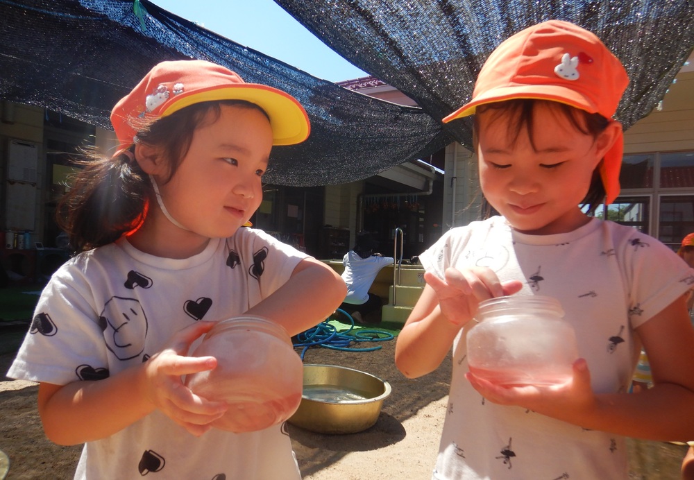ヤマモモで色水 (4)
