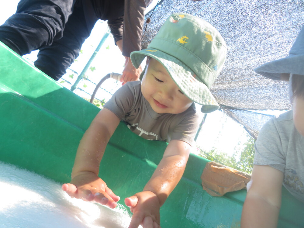 bubble (1)