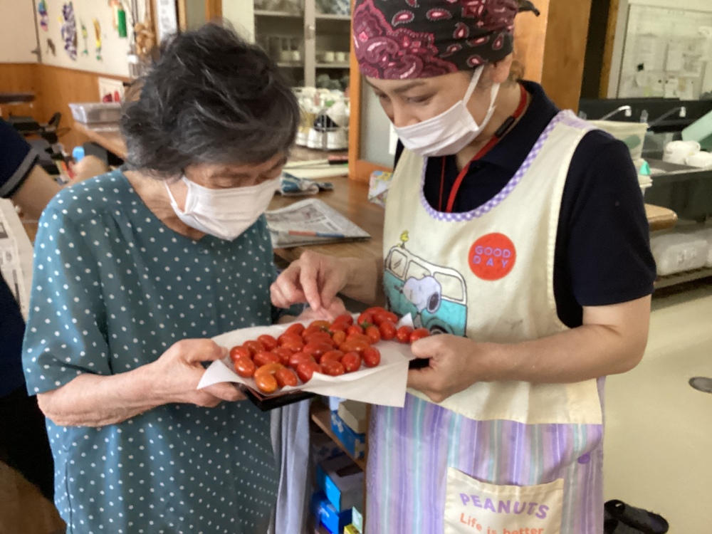 トマト狩り