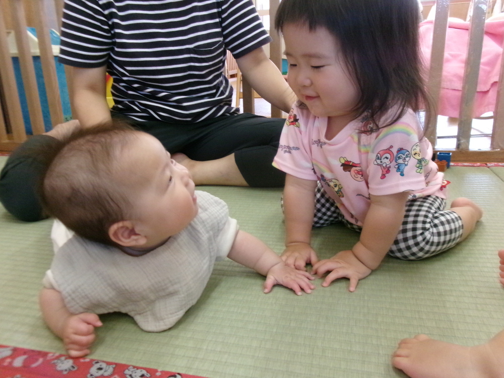 見つめ合っている
