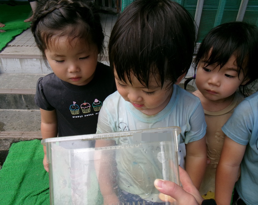 どろんこあそび