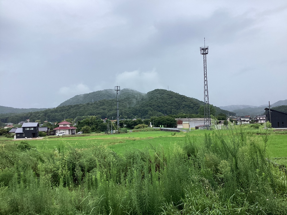 山