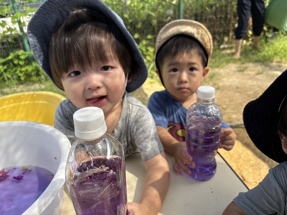 asagao (6)