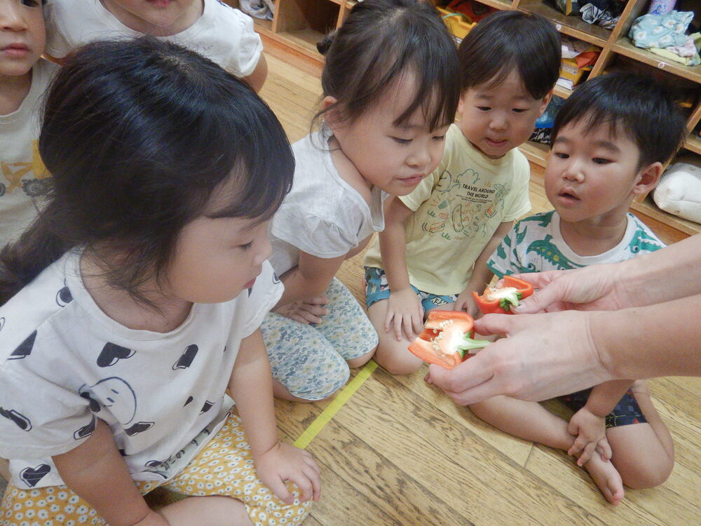 パプリカでままごと (1)