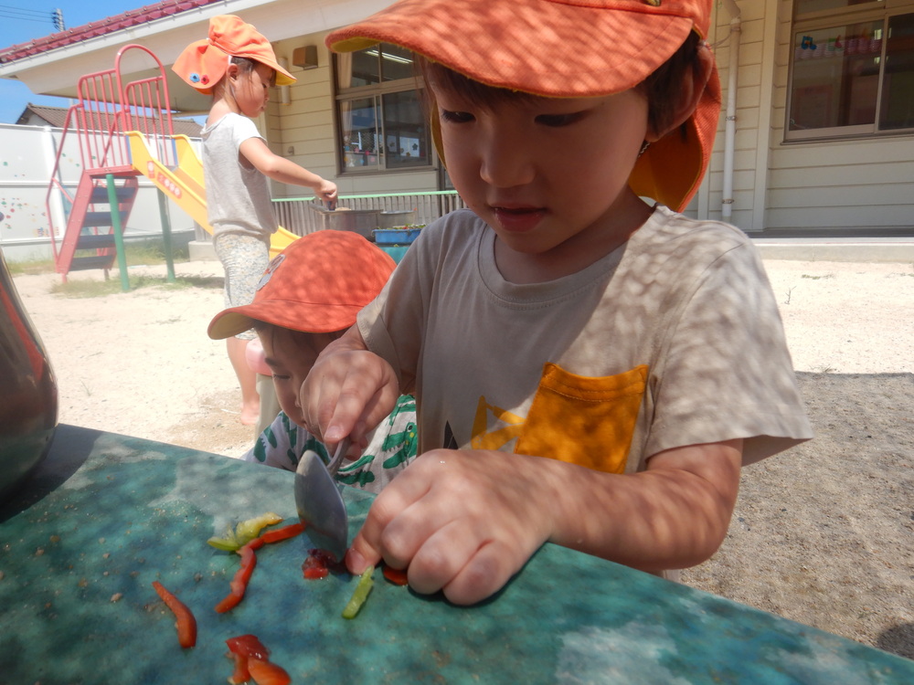 パプリカでままごと (6)