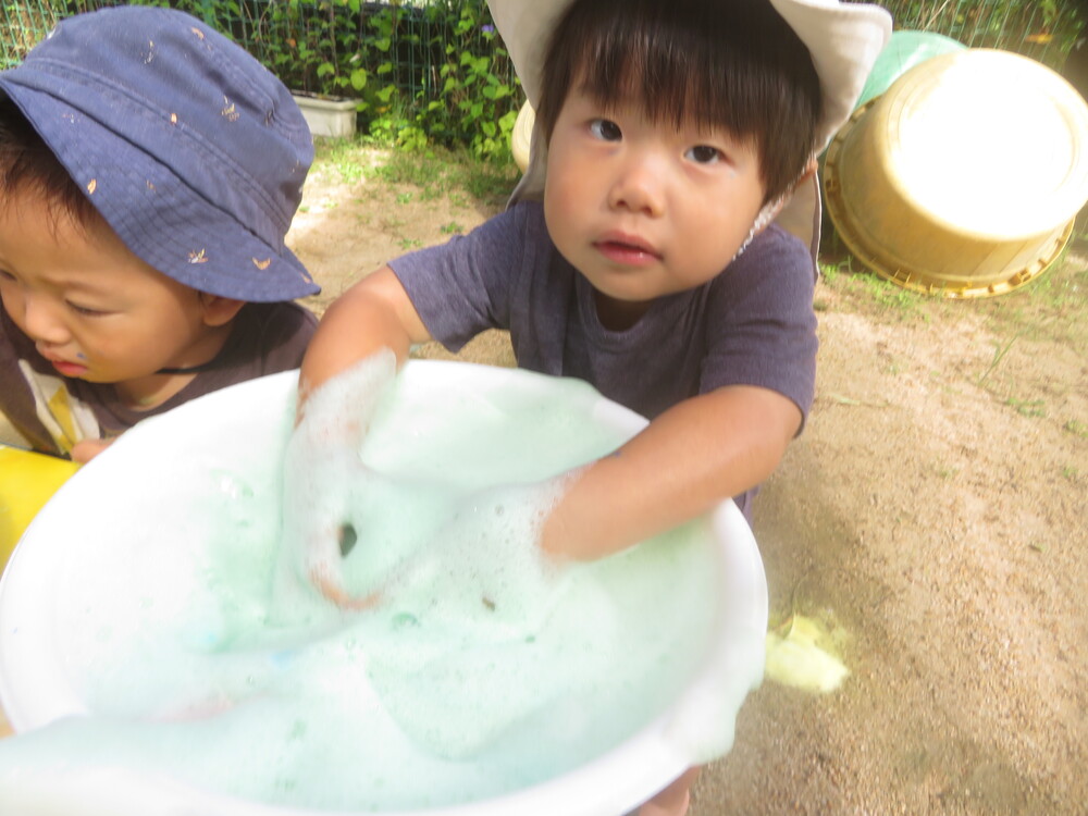 あわ (6)