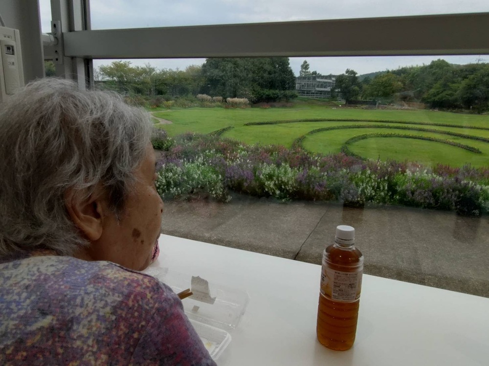 花を見ながら昼食