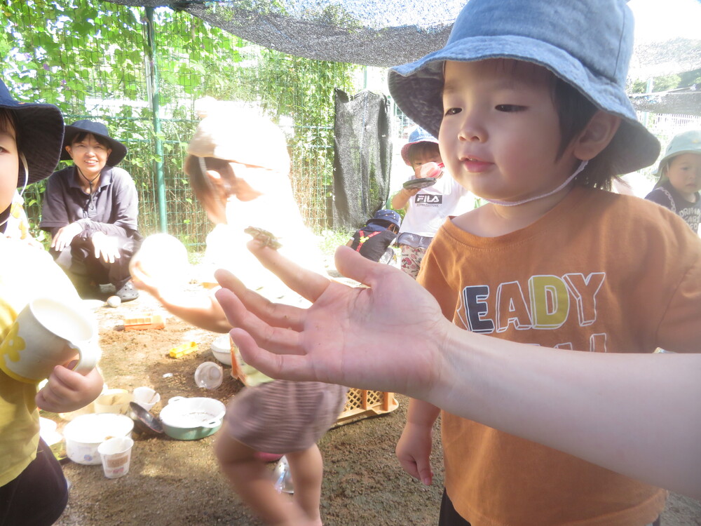 かえるさんとせんたくもの (2)