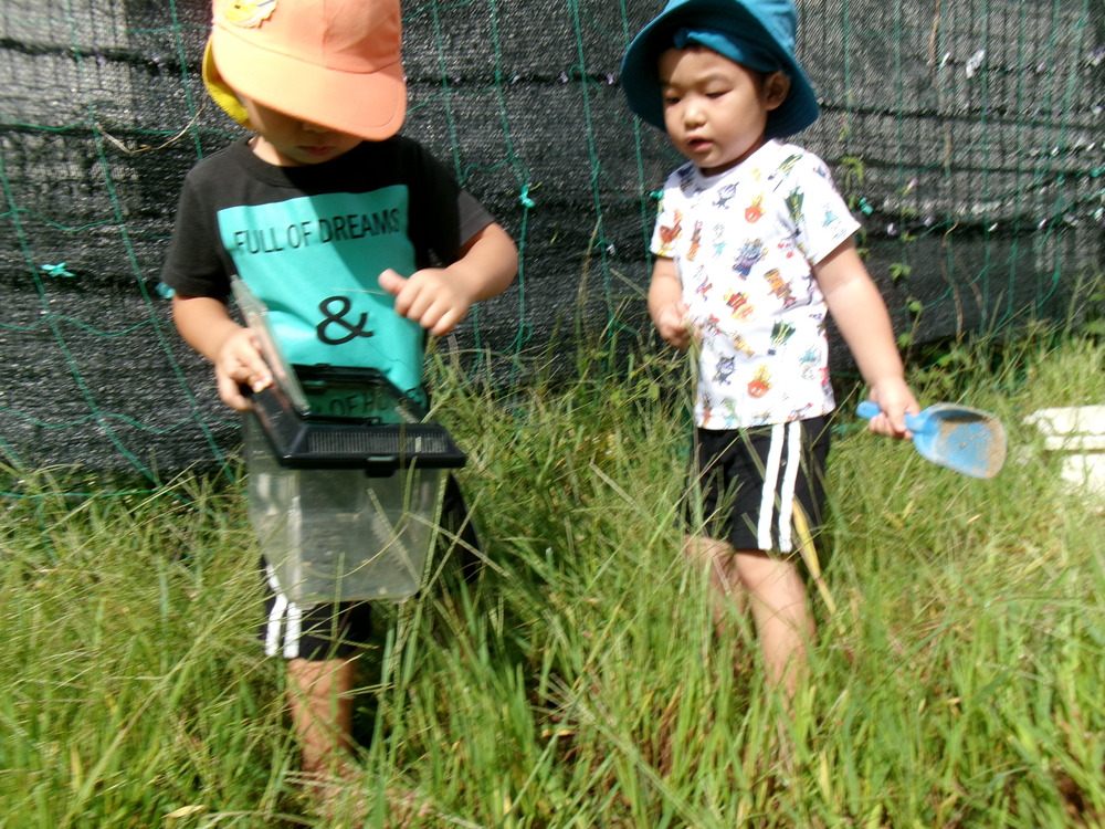園庭遊びの様子
