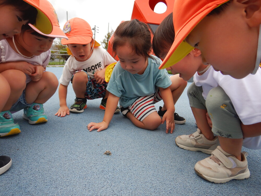 あすてらす公園で遊ぶ子ども (4)