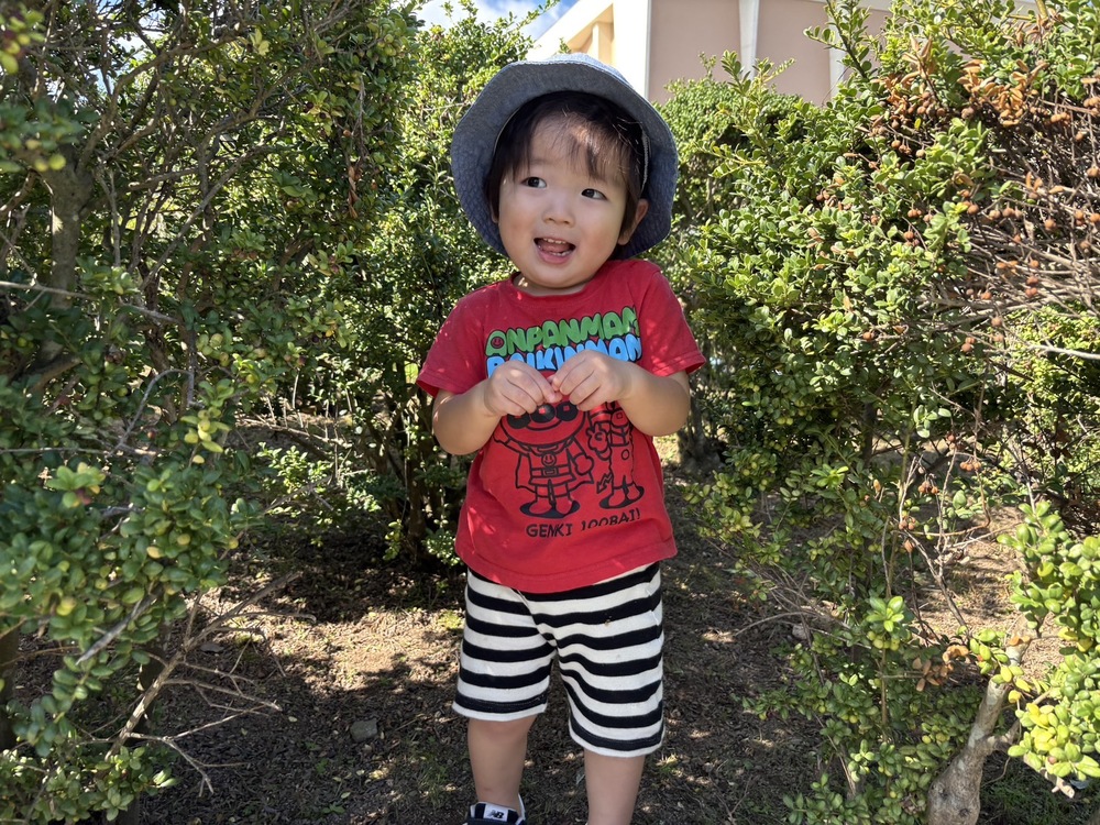 散歩 (1)