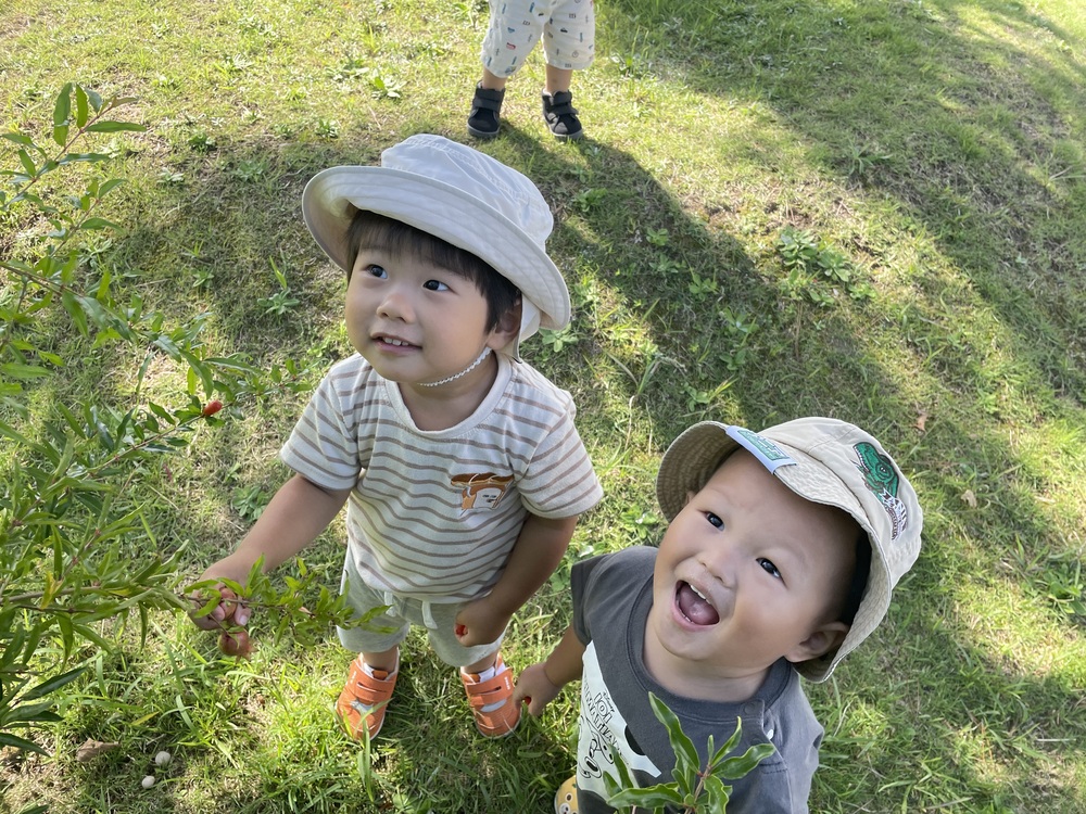 散歩 (3)