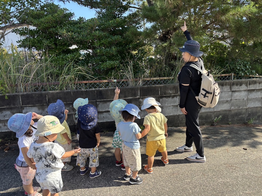 秋の散歩 (3)