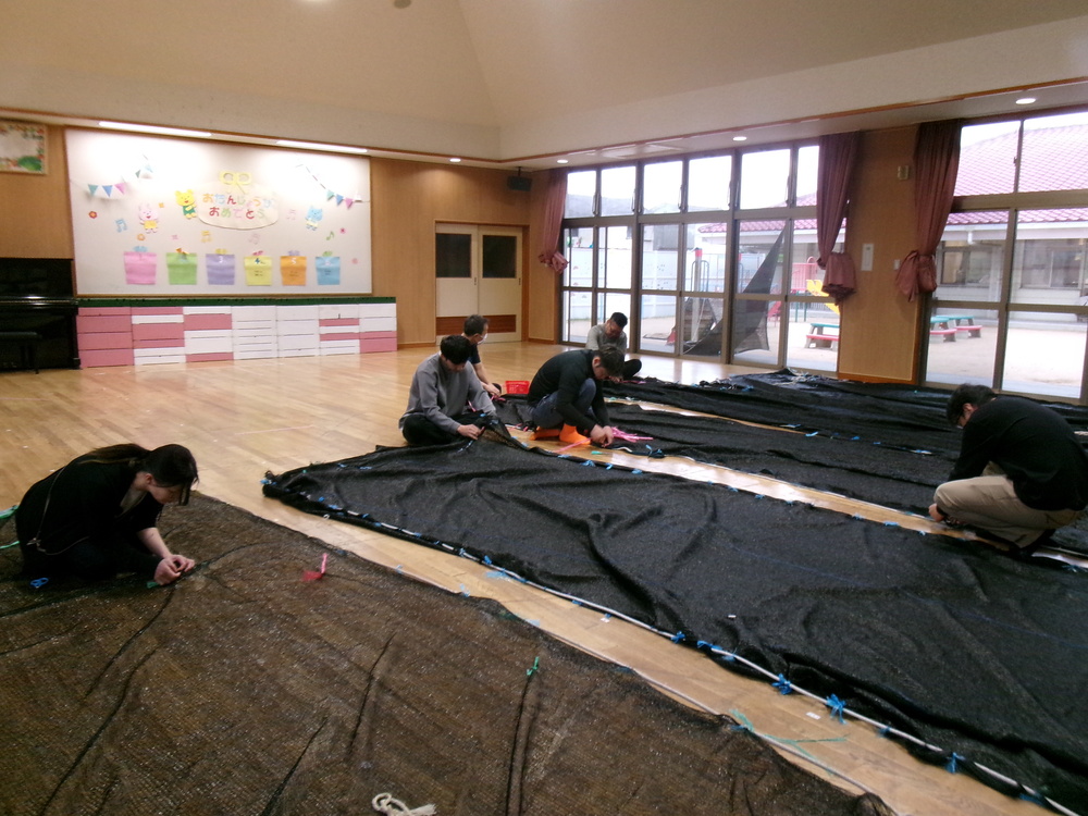 秋の環境整備 (1)