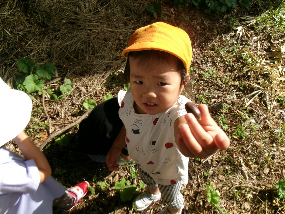 散歩１