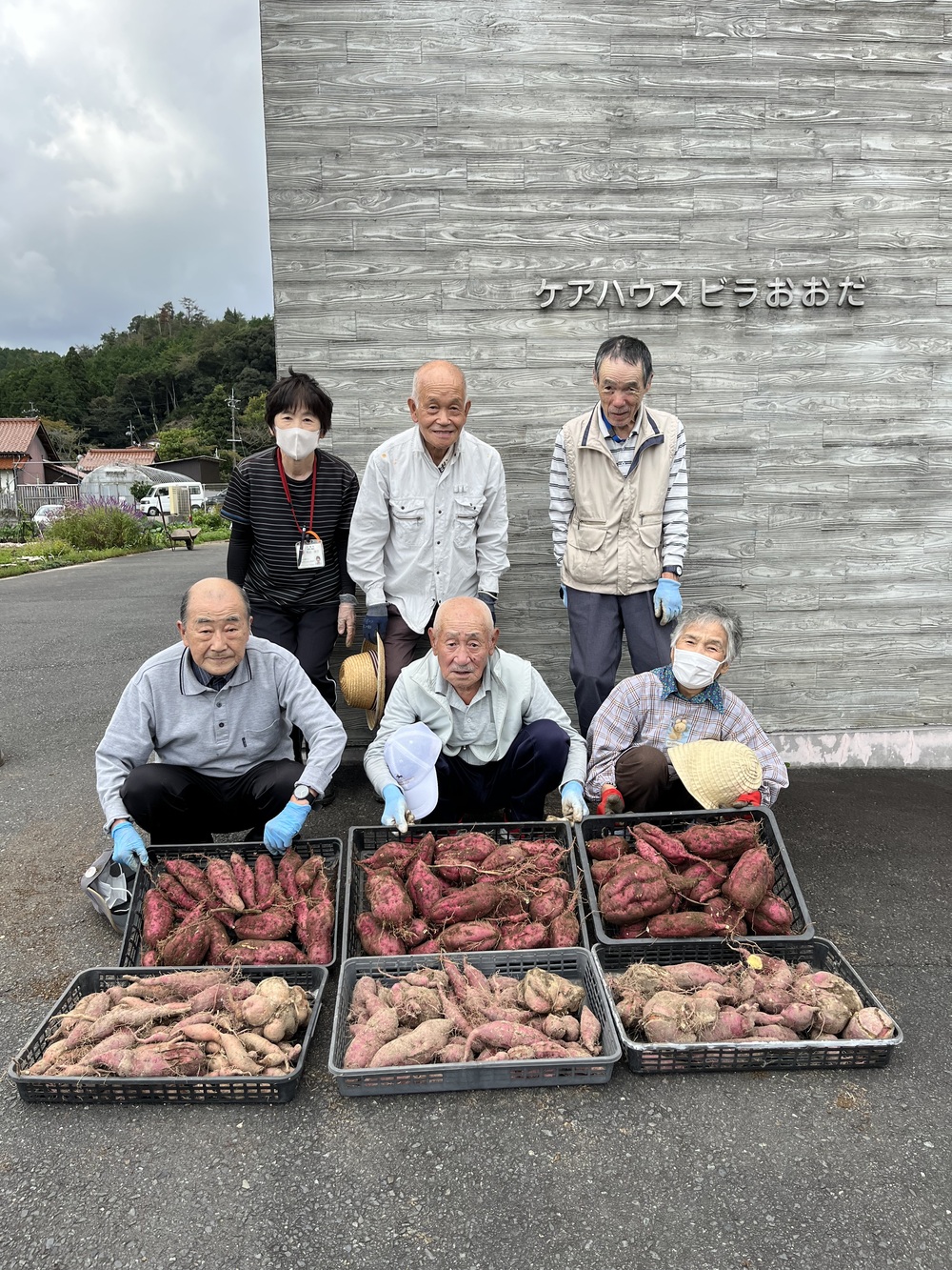 芋掘り