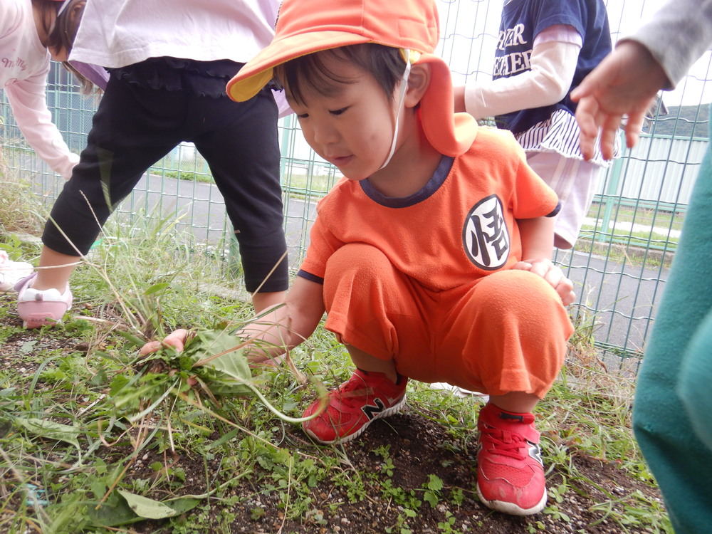 草抜きをする子ども (3)